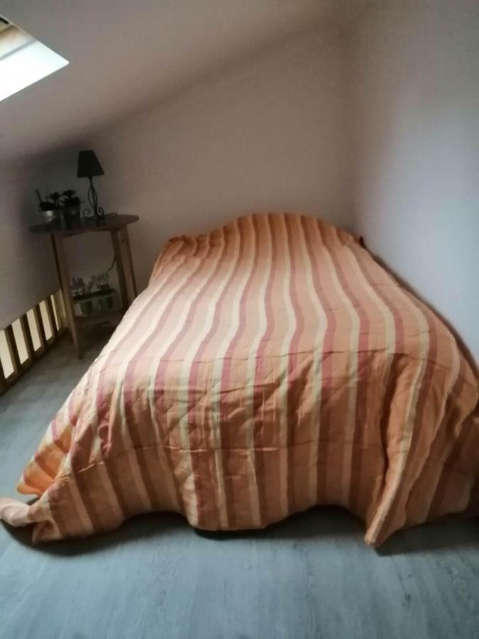 Dear Isabel Guest House Coimbra Exterior photo